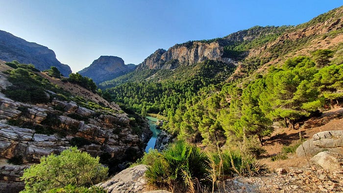 Sigil team on Feratta