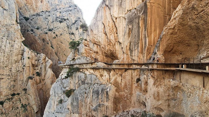 Sigil fund team on feratta